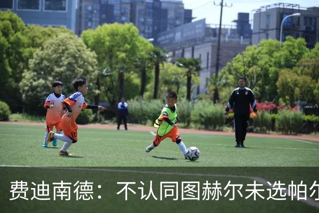 费迪南德：不认同图赫尔未选帕尔默的决定，后者在大赛证明过自己